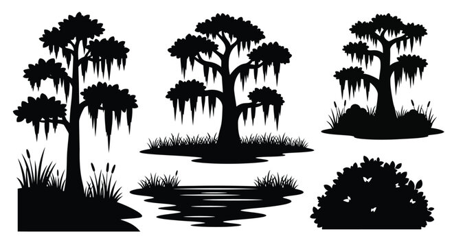 Silhouette of spanish moss draped trees and lush vegetation