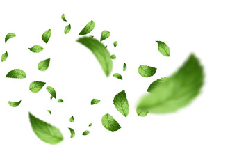 Green leaves flying swirling motion background herbal product advertising Fresh organic leaf scattered  motion blur High resolution isolated image for nature marketing