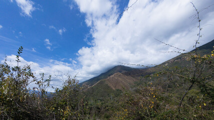 Scenic landscape of a majestic mountain peak under a cloudy blue sky with wild vegetation