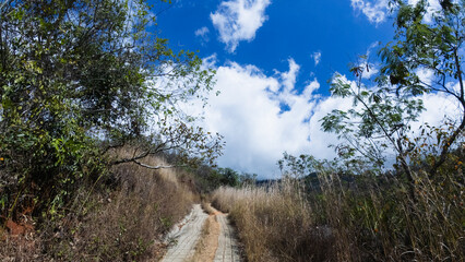  Rural two-way stone road in a tropical dry forest landscape with dry grass and trees