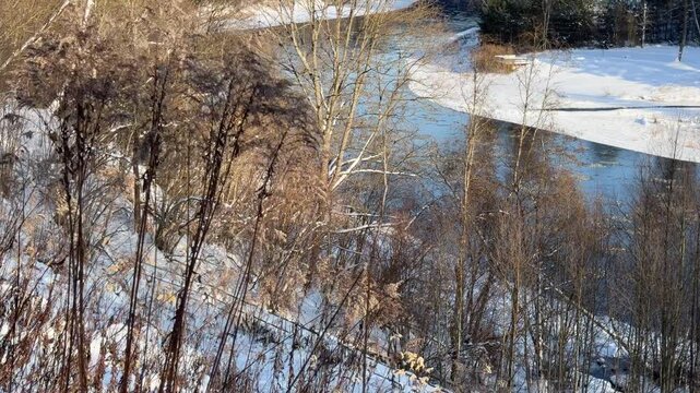 Dry Reeds and River in Snowy Winter Landscape. Static shot focusing on tall dry grass and reeds in foreground with flowing river and snowy bank in background. Captures quiet beauty of nature.