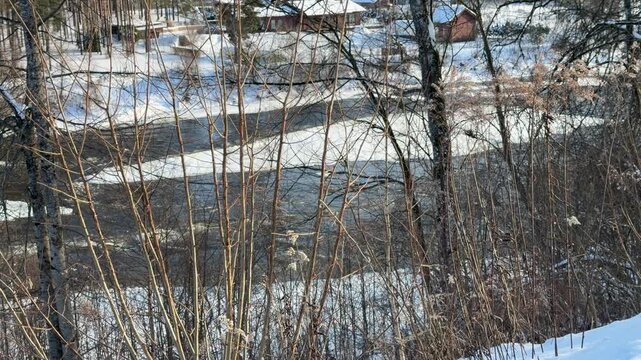 Wide River Flowing Past Snowy Banks and Trees. Wide shot of river flowing steadily through winter landscape. Banks are white with snow and lined with dense thickets of bare bushes and trees.