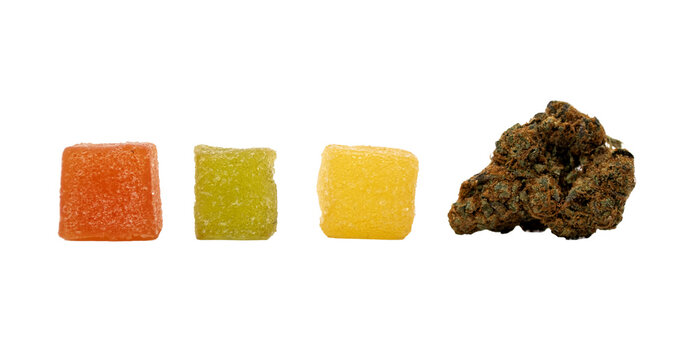 Cannabis Plant and Cannabis gummies lined up next to each other on a transparent background PNG  