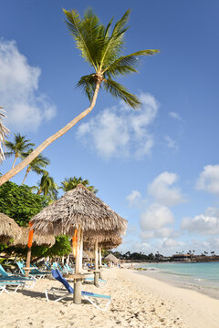 Sunbeds and Straw Thatched Parasols at a Caribbean Beach in Aruba
