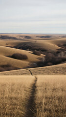 Fototapeta premium Winding dirt path through golden autumn hills leading to the horizon under a serene sky