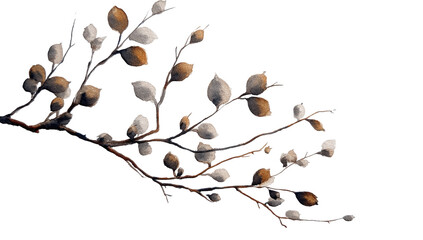 Detailed illustration of a branch with catkins