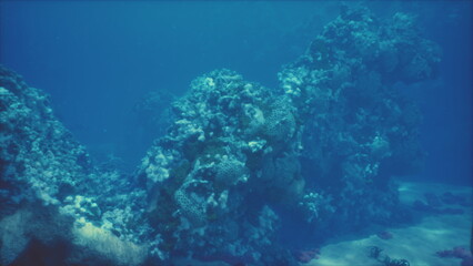 Fototapeta premium Beneath the surface, a stunning coral reef showcases colorful marine life. Sunlight filters through the water, revealing intricate rock formations and diverse sea creatures in their natural habitat.