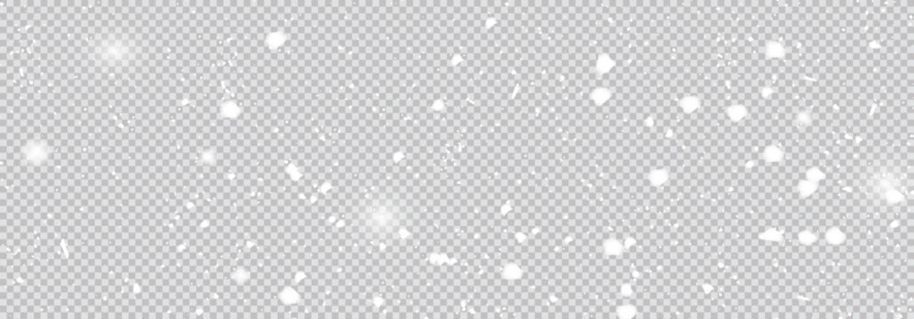 Random falling snow flakes on a transparent background. Snowfall dust freezes the granules. Snowy landscapes of nature, It's snowing! Falling snowflake