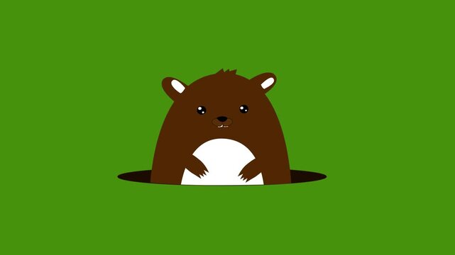 Animated Groundhog coming from the ground Isolated Green