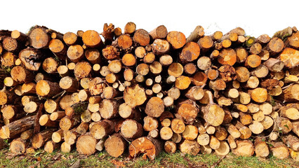 log logs cut wood pile background forest