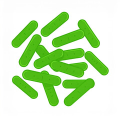 Zielone bakterie pałeczkowate - mikrobiologia,