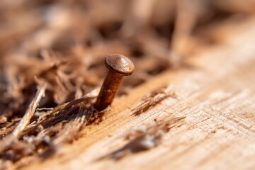 Rusty Nail Driven Into Wet Wooden Surface During Mid Penetration Process