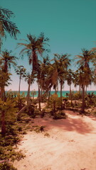 A serene scene unfolds with tall palm trees swaying gently in the warm breeze. The golden sand leads to a sparkling ocean, showcasing the beauty of nature during a sunny afternoon.