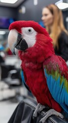 Vibrant macaw parrot in salon setting with female in background