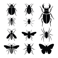 Black silhouettes of various insects including beetles spiders and butterflies