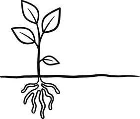 A young plant with visible roots establishing itself in the soil, illustrating growth