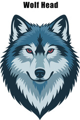 Wolf head illustration, fierce gray wolf portrait, wild animal face icon, predator mascot design, detailed vector isolated white background