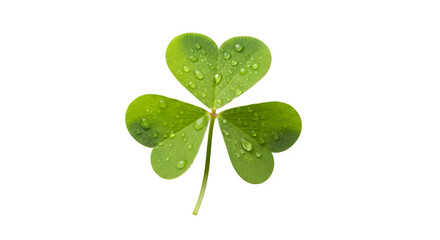 Obraz premium Three-Leaf Clover Image, isolated on white or transparent background. PNG