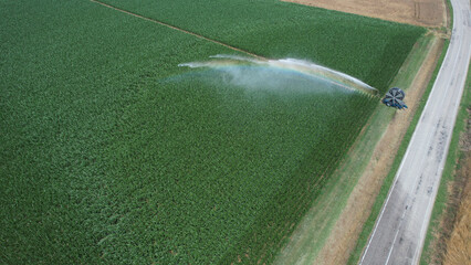 Fototapeta premium Aerial view of a large green field being irrigated by a sprinkler system next to a road