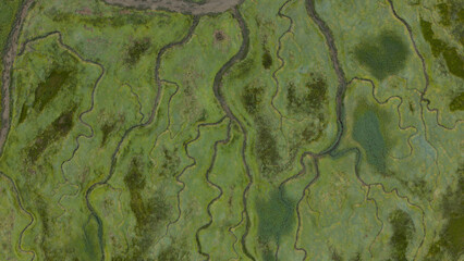 Aerial view winding rivers through green salt marsh wetlands