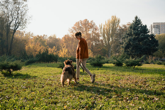 Walking a dog in an autumn city park
