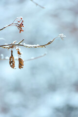 LAGO DI BRAIES, ITALY &ndash; 23 JANUARY 2026: Selection of winter scenes including a frozen lake with walkers, icefall, snowy forest path, boots on snow and a small chapel.