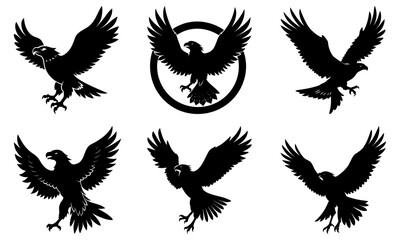 Collection of birds in flight silhouettes from various viewpoints and poses