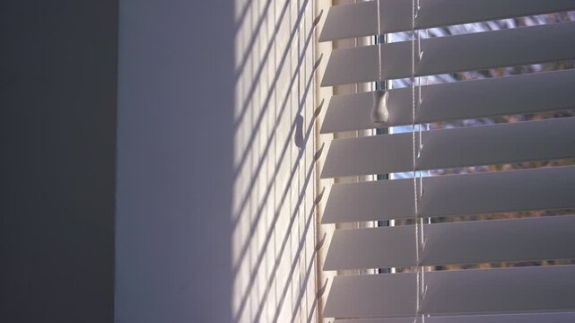 Venetian blinds window slats string in sunlight shadows 