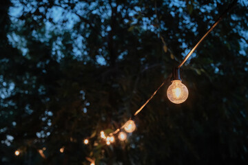String lights with glowing bulbs hanging on wire creating festive backyard atmosphere at twilight