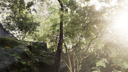 Lush greenery surrounds the winding path in the tranquil forest. Soft rays of sunlight pierce through the leaves, creating a peaceful atmosphere perfect for exploration.