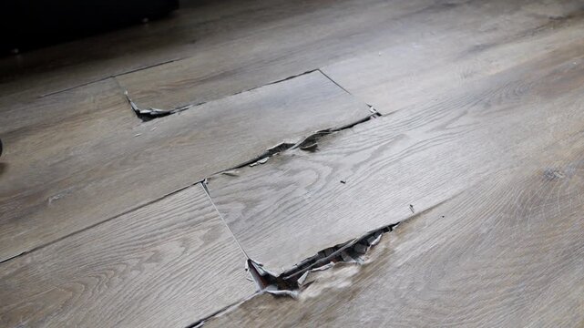 buckled laminate floor with torn planks and visible crack caused by heated floor expansion. closeup of damaged floor covering with lifted edges