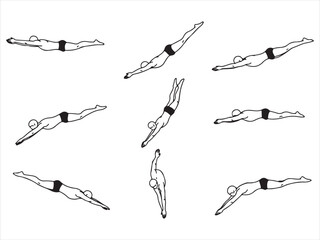 Illustration of various swimming poses  different styles and positions  swimmers in motion © Md