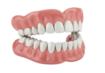 Obraz premium Realistic 3d render of human dentures isolated on transparent background
