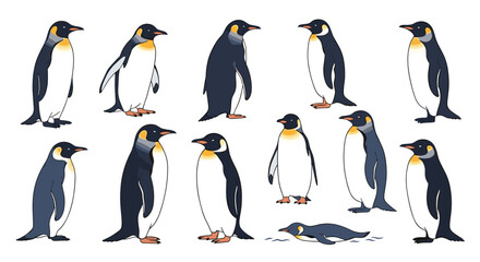 Collection of emperor penguins in various poses, showcasing the majestic Antarctic sea birds in standing and swimming postures.