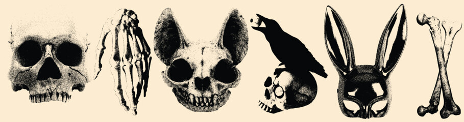 Haftoon Effect Skull Bone Symbol Illustration