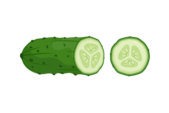 Flat-style cucumber vegetable icon. Half cucumber with a slice. Vector illustration isolated on white background. Healthy eating sign for food design, organic products, and business concepts
