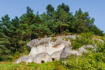 Obraz premium Rugged rock cliff covered with pine forest,high mountain landscape.