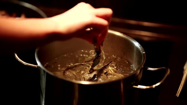A Women Placing Fresh Raw Crab into Pot of Boiling Water. Cooking  Gourmet Seafood Process