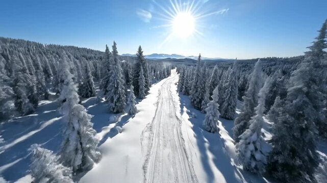 Sweeping drone aerial view looking down onto a snow-covered walking path marked by parallel tracks extending into a vast forest of frosted evergreen trees wilderness, adventure, vast