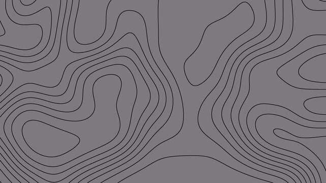 Abstract topography white stripes background motion loop footage video with geo map pattern, best for motion graphics and design projects, fractal lines background, Moving waves on black background 4k