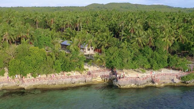Aerial view of tropical forest coastline and rocky shore