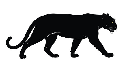 Naklejka premium A black panther walks gracefully with its tail curved.