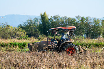 Farmer driving a tractor plowing a rice field after harvest season in Thailand