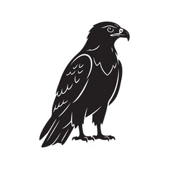 Obraz premium Eagle Silhouette Illustration Powerful Bird of Prey with Sharp Beak and Upright Form