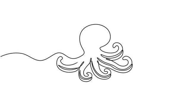Animated self drawing of single continuous line draw giant octopus for aquarium world logo identity. Legendary kraken animal mascot concept for aquatic show icon. Full length one line animation.
