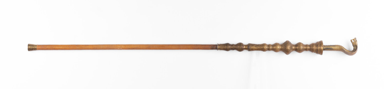 Magic snake staff isolated on white background