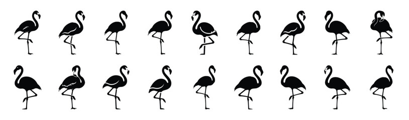 flamingo standing one leg silhouette illustration collection. Animals drawing illustration isolated on white background. © Krishna