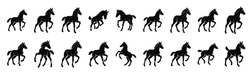 Fototapeta premium foal playful pose silhouette illustration collection. Animals drawing illustration isolated on white background.