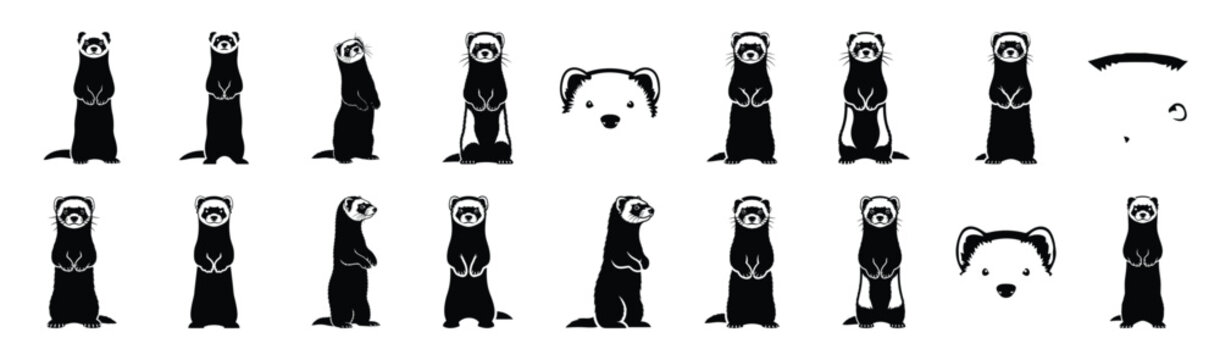 ferret standing upright pose silhouette illustration collection. Animals drawing illustration isolated on white background.