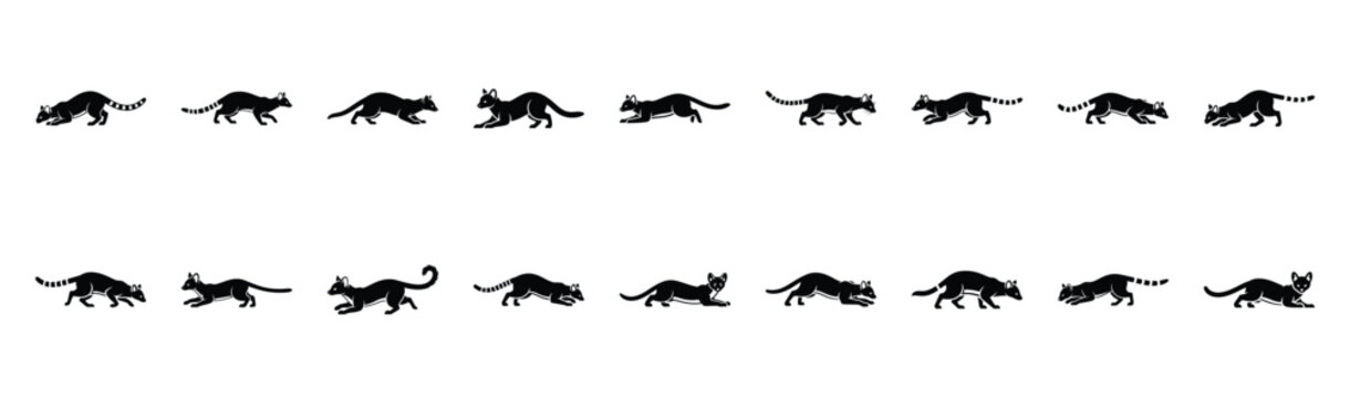genet prowling pose silhouette illustration collection. Animals drawing illustration isolated on white background.